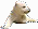 Knut
